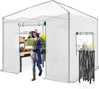 10x10 Portable Walk-In Greenhouse, Pop-Up Indoor and Outdoor Garden Greenhouse, Zipper Doors and Windows, PE Cover, Green